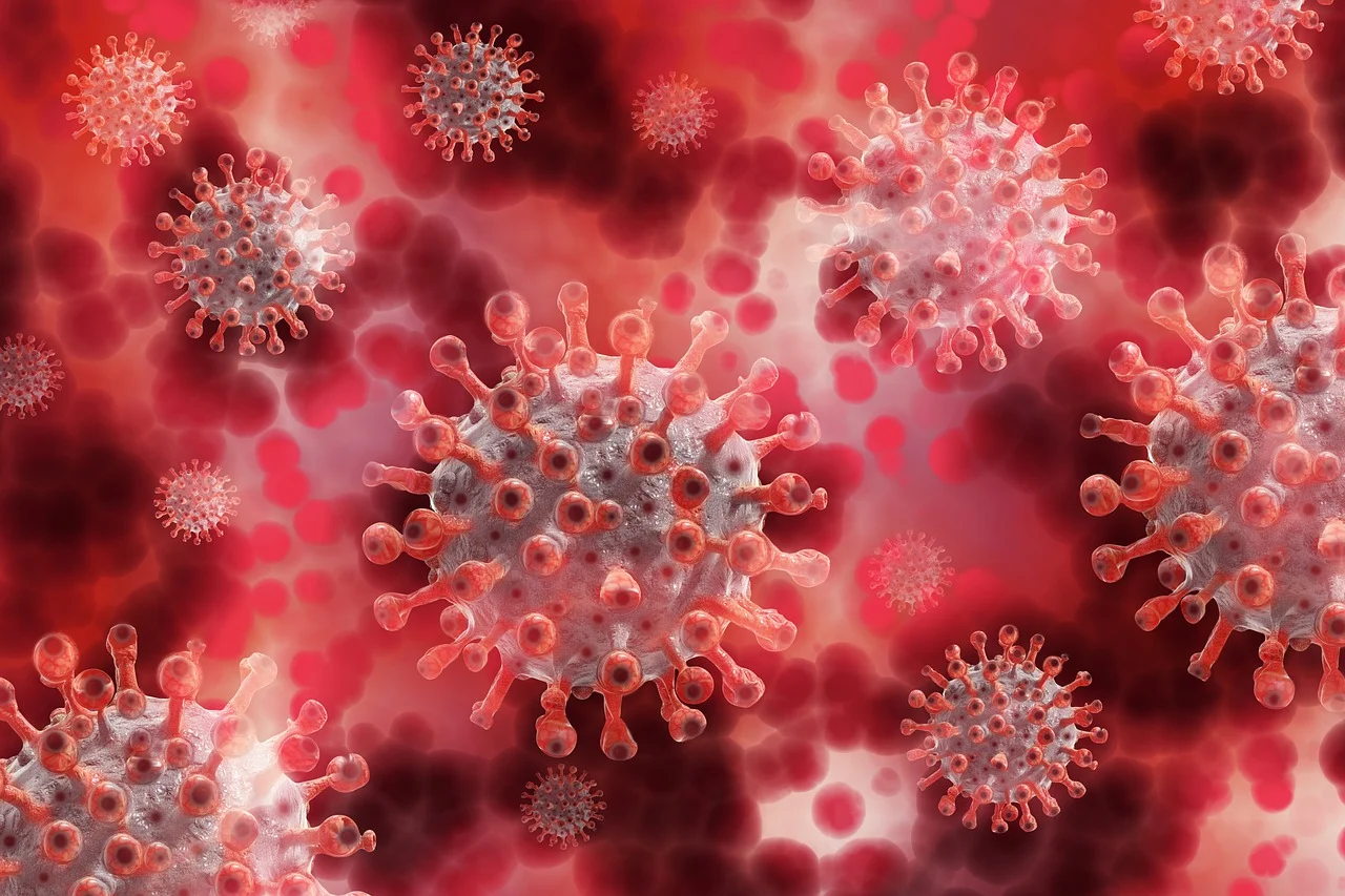 Grafik mit Coronaviren in rot-weißer Färbung.